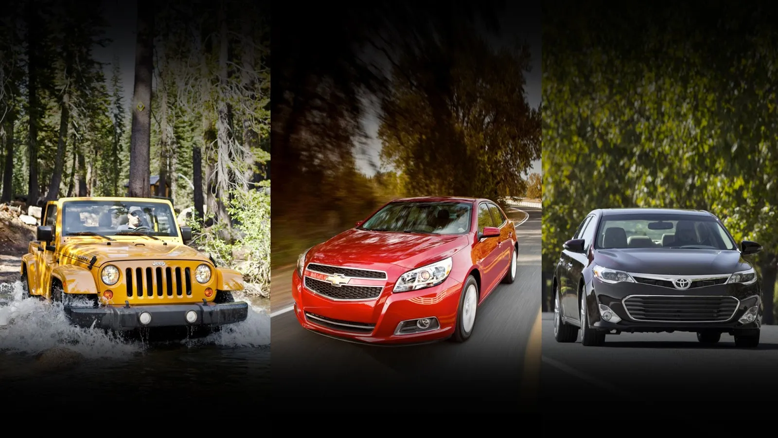 Gallery image 5